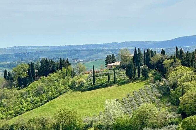 Prosecco Wine Tour. Full day from Venice - The Sum Up