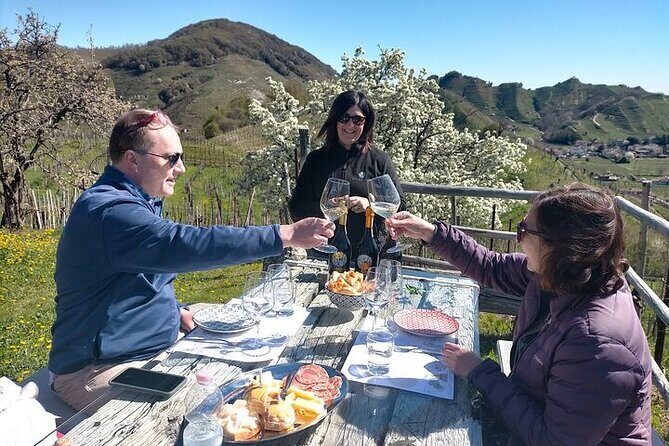 Prosecco Wine Tour. Half-day. From Venice - A Practical Look at the Prosecco Wine Tour from Venice