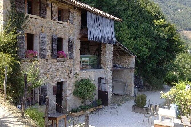 Prosecco Wine Tour. Half-day. From Venice - Who Will Love This Tour?