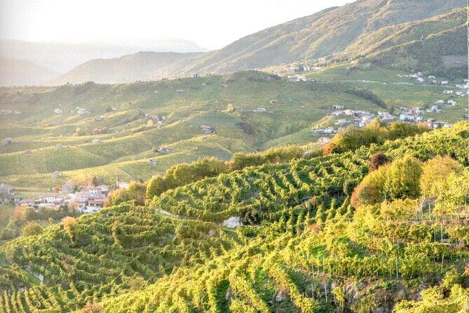Prosecco - Wine tour & tasting - Full day in the Prosecco region - The Sum Up