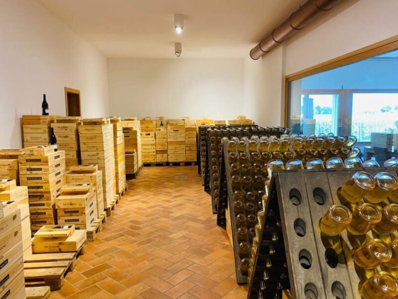 Prosecco Winery Tasting with Food Pairing near Venice - Key Points