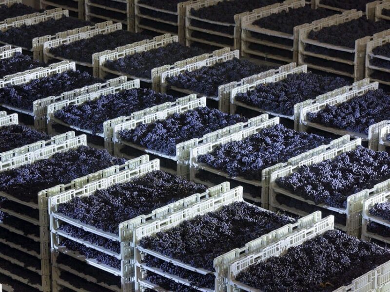 Prosecco Winery Tasting with Food Pairing near Venice - Final Thoughts