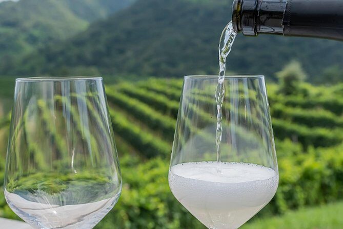 Proseccos Roots & the Karst Region from Trieste - Key Points