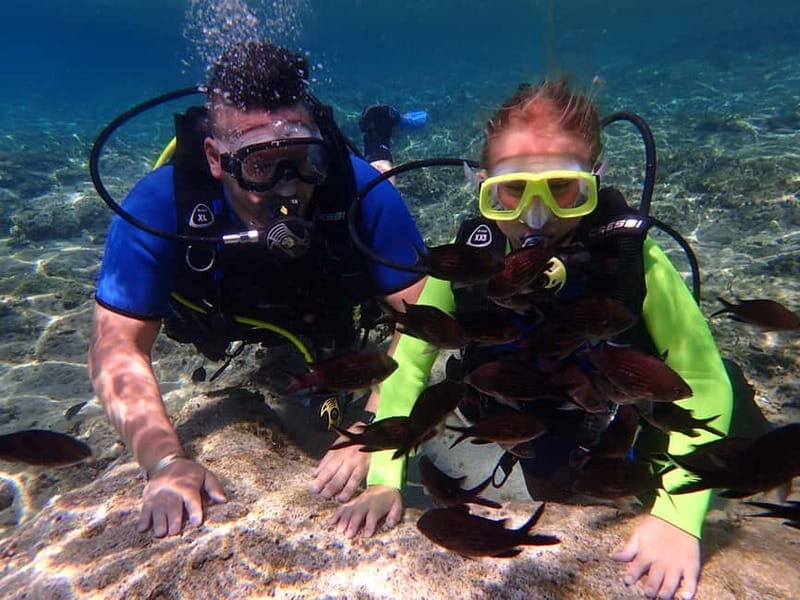 Protaras: Bubblemaker Diving Course & 2-Meter Dive - Final Thoughts