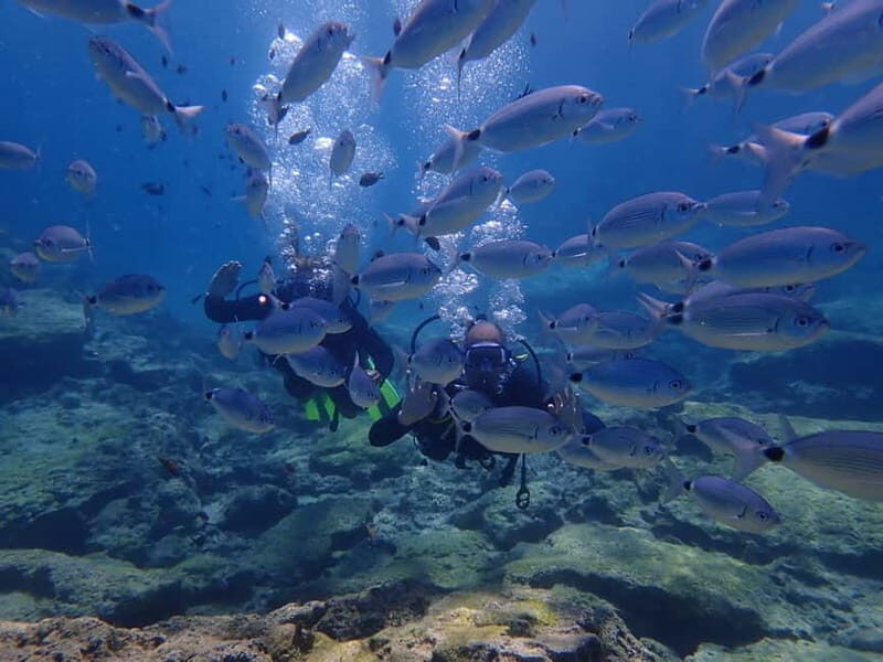 Protaras: Cape Grecko Single Dive for Qualified Divers - Exploring the Underwater World of Cape Greco