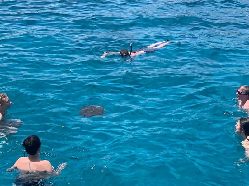 Protaras: Harmony | Luxury boat, Value Turtle Adventure - Key Points