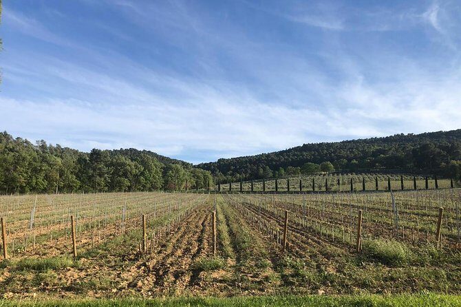 Provence at your own pace and at your leisure! - Who Is This Tour Best For?