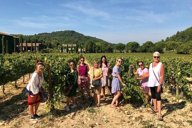 Provence Full Day Private Tour with Driver-guide from Marseille - Who Should Book This Tour?