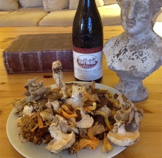 Provence: Mushroom Hunting with Outdoor Breakfast - Authenticity and Review Insights