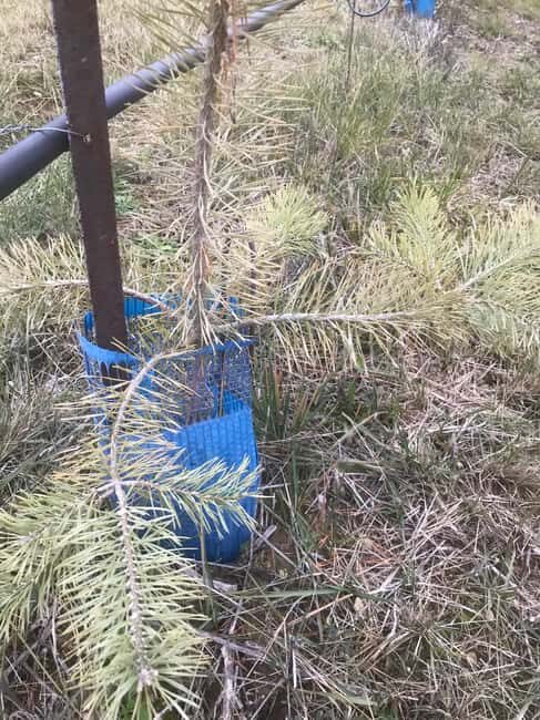 Provence: Mushroom Hunting with Outdoor Breakfast - Who Will Enjoy This Tour?