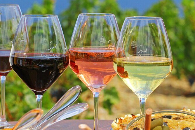 Provence Organic Wine Tasting Half Day Tour from Nice - Introduction