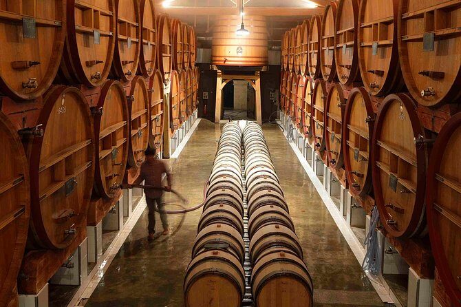 Provence Private Full Day Wine Tour with Wine Tasting - Key Points