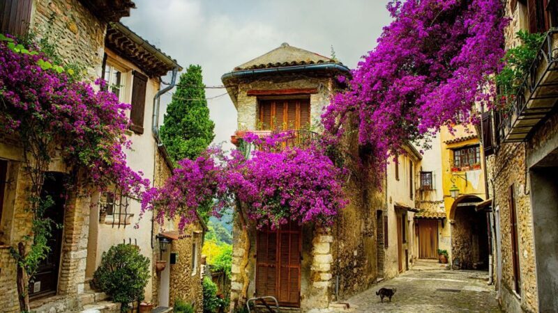 Provence private tour: Aix-en-Provence, (Marseille) & Cassis - Who Should Consider This Tour?
