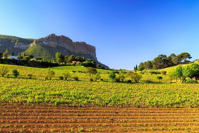 Provence Small Group Wine Full Day Tour in Chateauneuf du Pape vineyard from Aix - The Sum Up