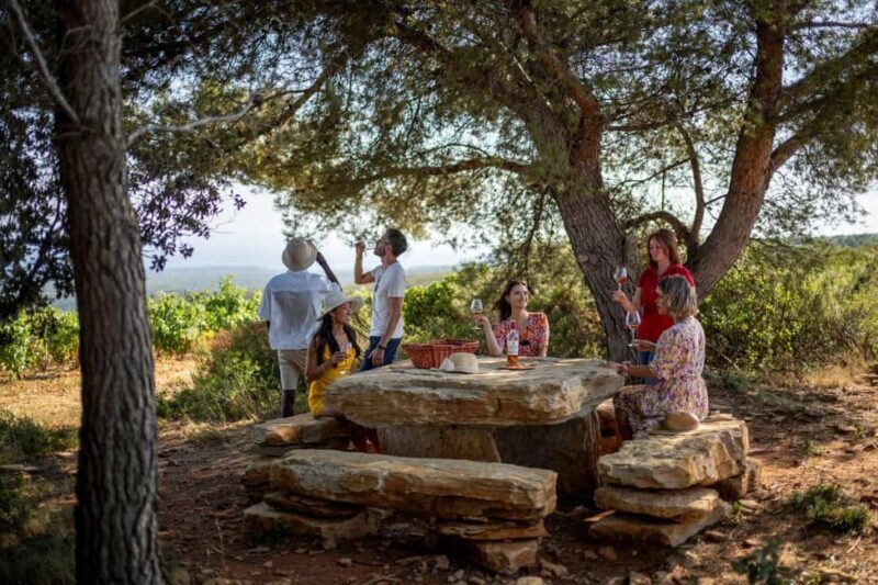 Provence Wine Tour - Private Tour from Nice - A Detailed Look at the Provence Wine Tour