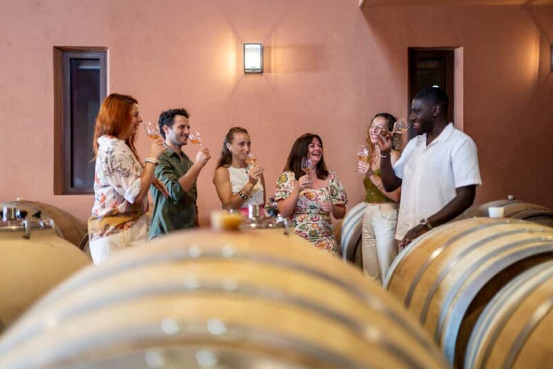 Provence Wine Tour - Private Tour from Nice - Final Thoughts: Is This Tour for You?