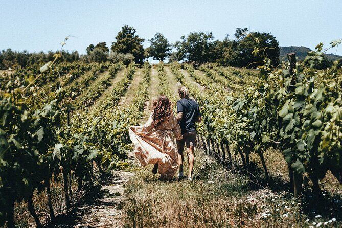 Provence Wine Tour - Small Group Tour from Cannes - The Sum Up