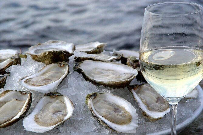 Providence Wine & Brine Boat Cruises - Who is this experience best suited for?