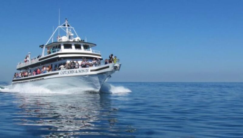 Provincetown: Whale Watching Cruise - FAQ