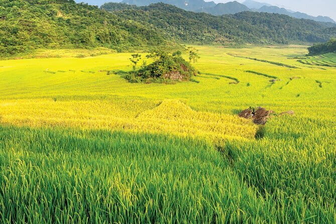 Pu Luong: 3-Day Adventure with Trekking, Cycling & Cooking Class - Exploring Pu Luong: A 3-Day Cultural and Nature Journey