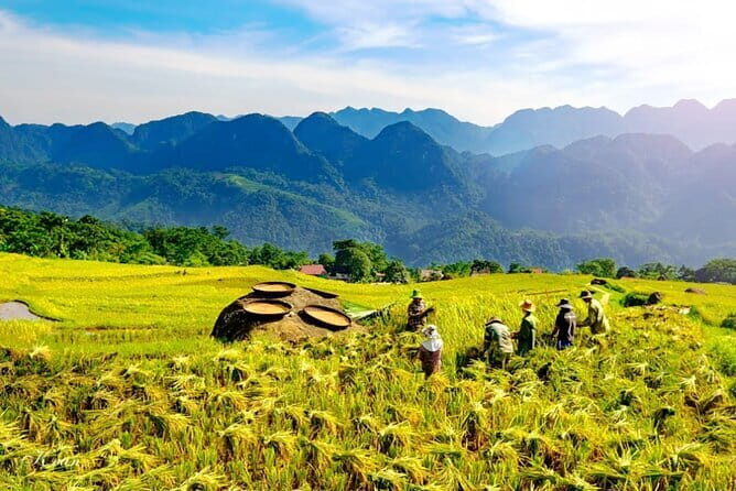 Pu Luong: 3-Day Adventure with Trekking, Cycling & Cooking Class - Key Points
