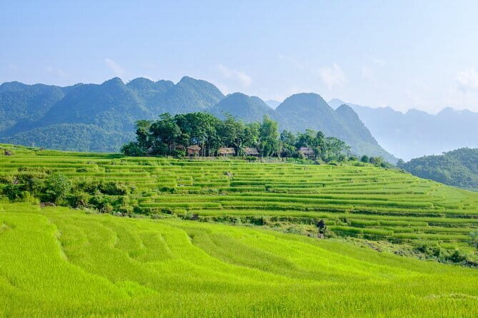 Pu Luong: 3-Day Adventure with Trekking, Cycling & Cooking Class - Authentic Experiences You’ll Remember