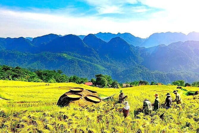 Pu Luong Insight Half Day of Nature and Culture Discovery - Starting Point and Transportation