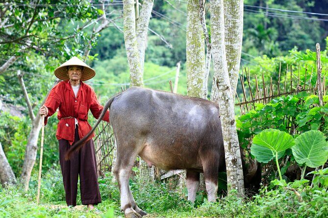 Pu Luong Nature Reserve 2 Days 1 Night Tour from Hanoi - Key Points