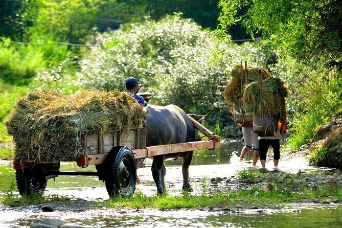 Pu Luong Nature Reserve 2 Days 1 Night Tour from Hanoi - Final Words