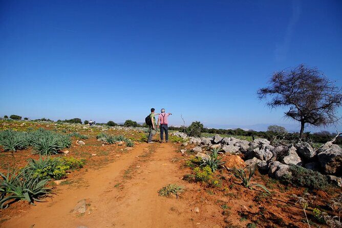 PUBLIC 5,5h Plavnik Island Half-day Boat Trip - The Trip in Detail: What to Expect from Start to Finish