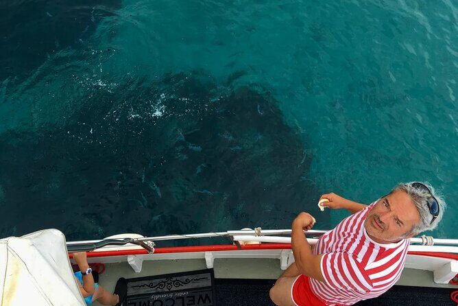 PUBLIC 5,5h Plavnik Island Half-day Boat Trip - Final Thoughts