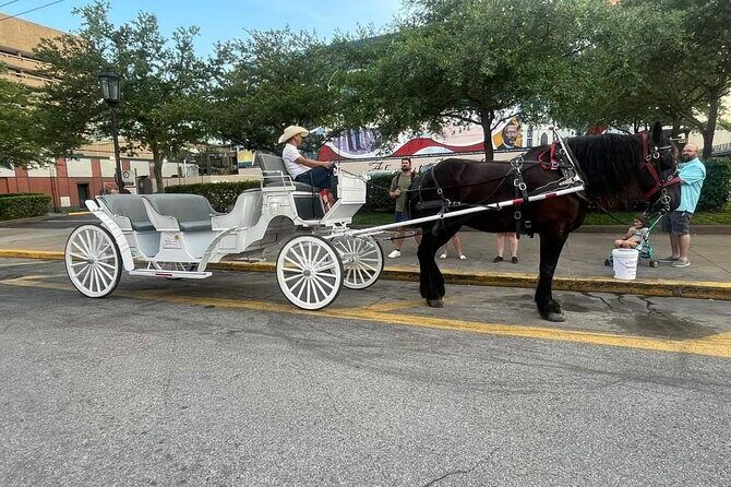 Public Group Historical Carriage Tour of Galveston - Key Points