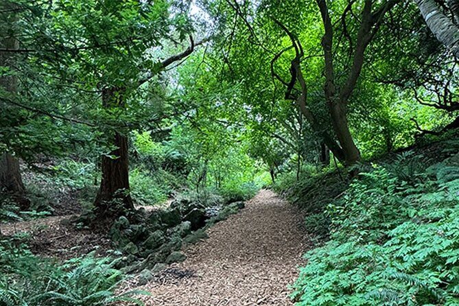 Public Weekend Walking Tour: Highlights of Golden Gate Park - FAQ