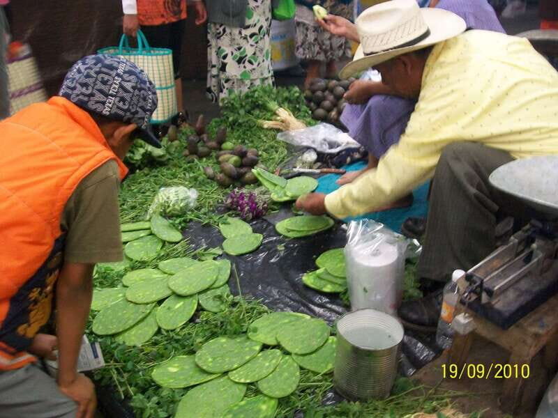 Puebla: 5-Hour Culinary Tour with Tastings - Authenticity and Reviewer Insights