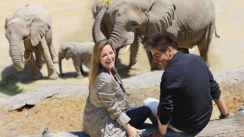 Puebla Africam Safari Park, Live an Unforgettable Adventure! - Key Points