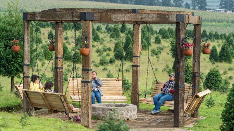 Puebla: Alpinia Mountain and Nature Park - What Do Visitors Say?