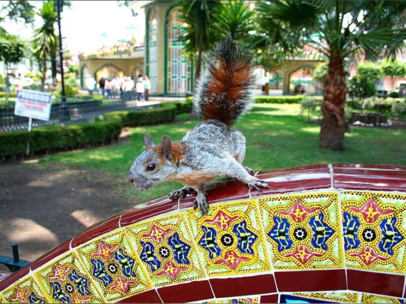 Puebla: Magical Atlixco, Volcano, Unique Garden & Plant Maze - Authentic Experiences & Unique Highlights