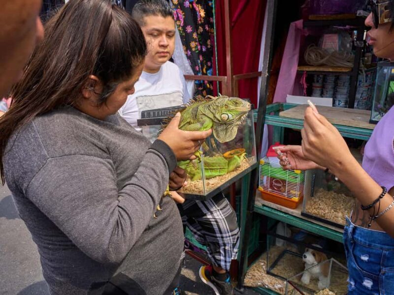 Puebla: Street Markets Private Tour  The Mexican Experience - FAQs