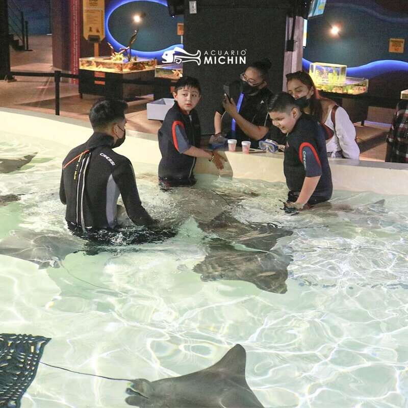 Puebla: Ticket to Aquarium Michin - A Closer Look at the Experience