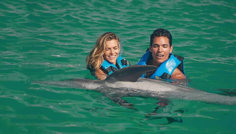 Puerto Aventuras: Amazing Dolphin Encounter with Lunch - An In-Depth Look at the Dolphin Encounter Tour
