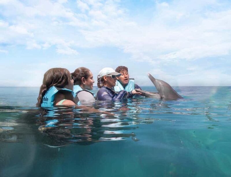 Puerto Aventuras: Dolphin Connection & Manatee Interaction - Discovering the Charm of Puerto Aventuras: Dolphin Connection & Manatee Interaction