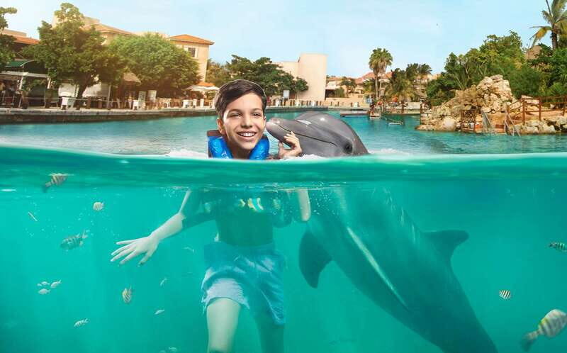 Puerto Aventuras: Dolphin Encounter with Buffet Lunch - Practical Details and What to Expect