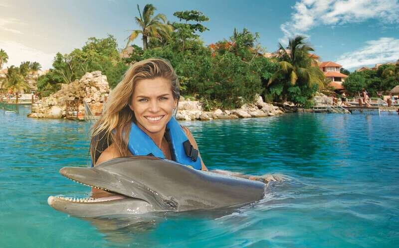 Puerto Aventuras: Dolphin Swim, Sea Lions, Manatees, & Lunch - A Closer Look at What to Expect