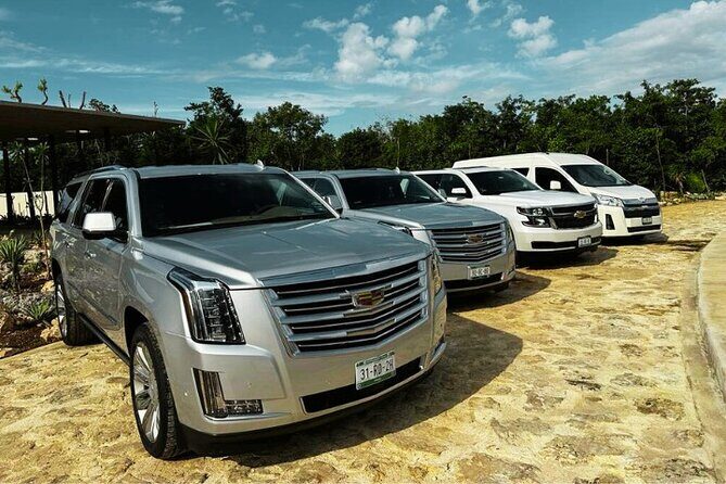 Puerto Aventuras: From/to Cancun Private Airport Transfers - What to Expect from Your Private Transfer