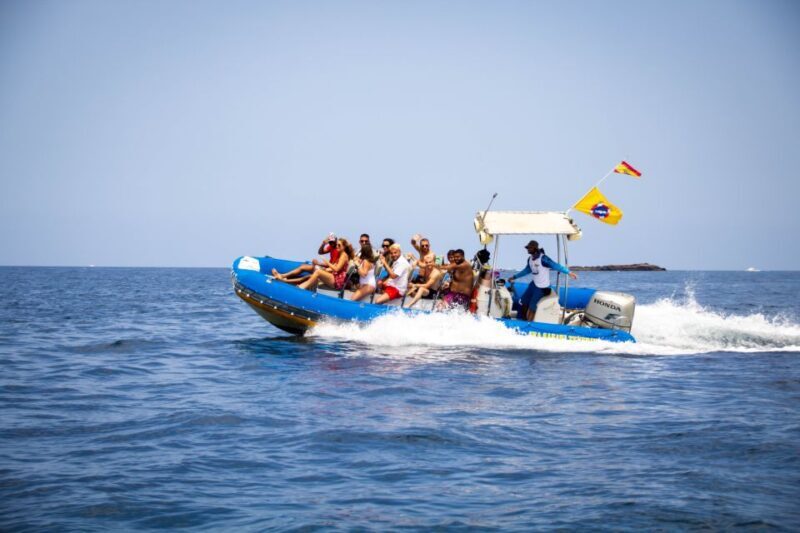 Puerto Colon: Dolphin and Whale Watching Speedboat Cruise - Authentic Experiences from Other Travelers