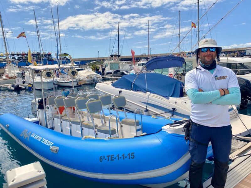 Puerto Colon: Dolphin and Whale Watching Speedboat Cruise - The Sum Up