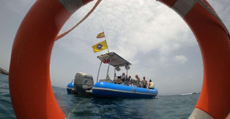 Puerto Colon: Dolphin and Whale Watching Speedboat Tour - An Authentic Marine Adventure: Setting the Scene