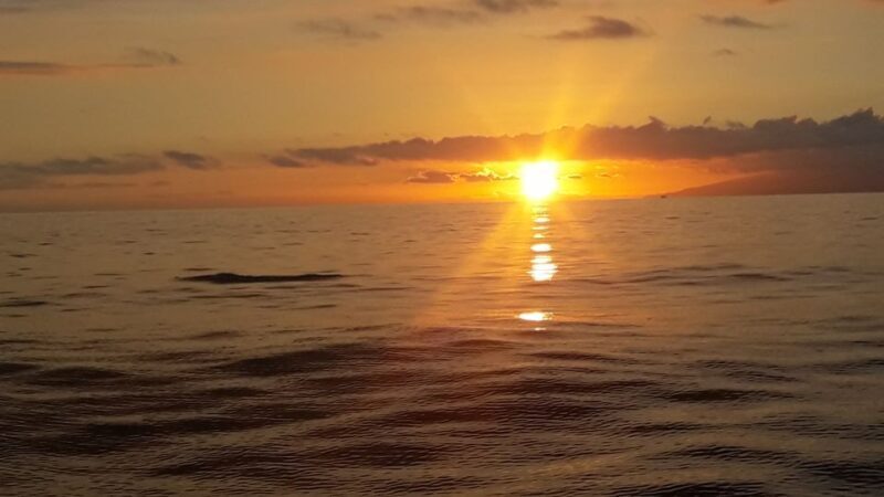 Puerto Colon: Whale-Watching Sailing Tour with Meal & a Swim - Key Points