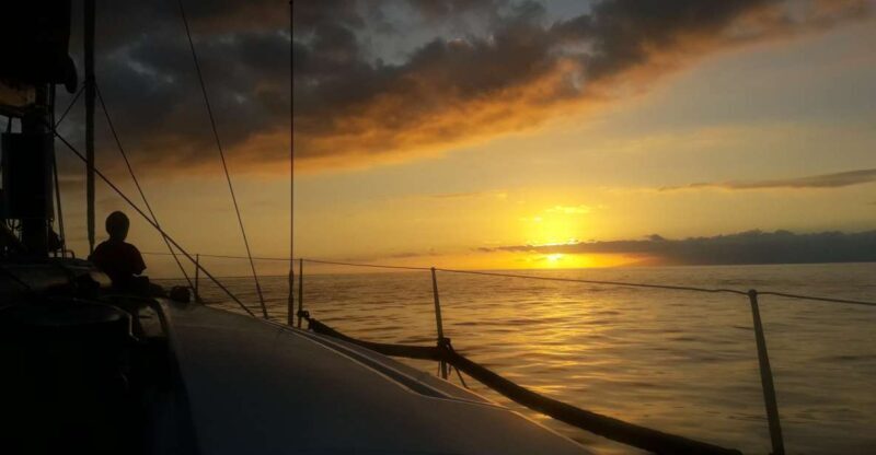 Puerto Colon: Whale-Watching Sailing Tour with Meal & a Swim - Practical Details and Considerations