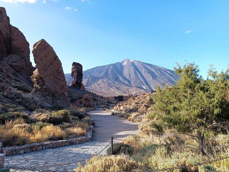 Puerto Cruz: VIP Teide Sunset & Stars, Guachiche Lunch+Cava - An In-Depth Look at the Tour Experience